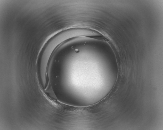 X0000054460838200508121935