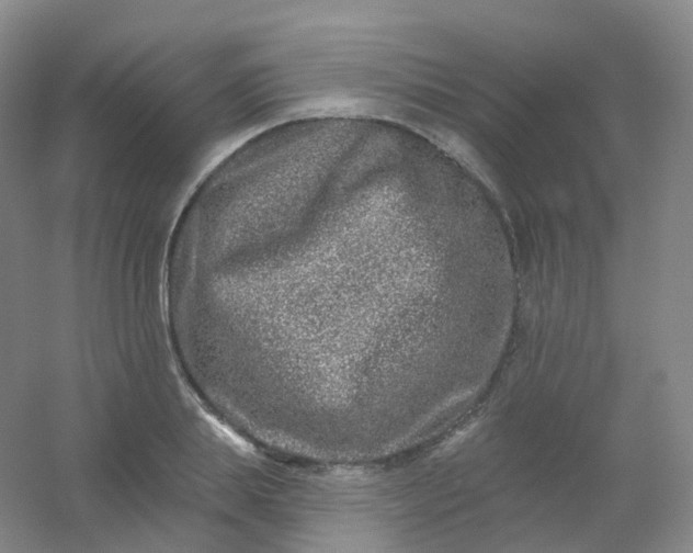 X0000054460839200508121935