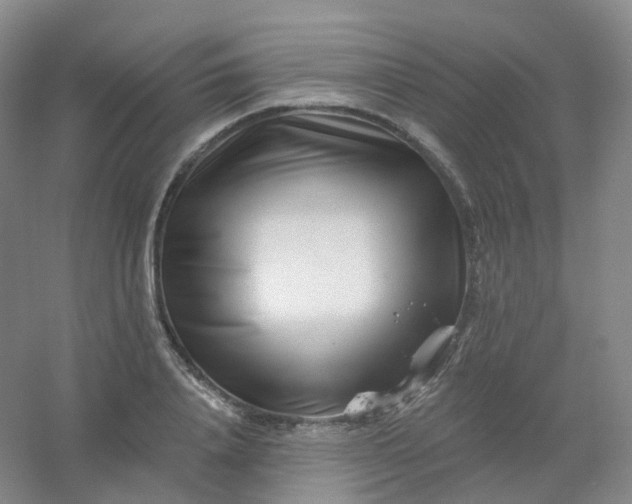 X0000054460840200508121935