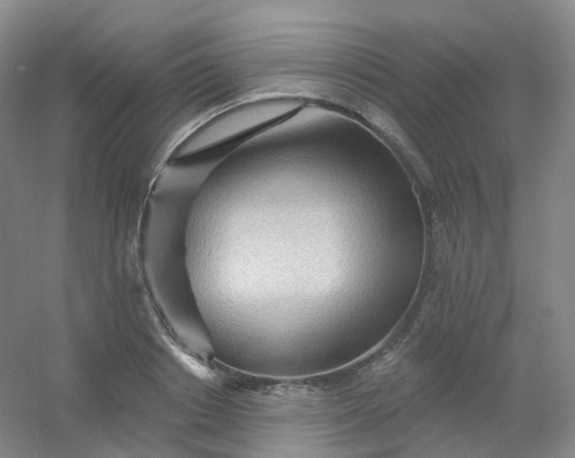 X0000054460842200508121935