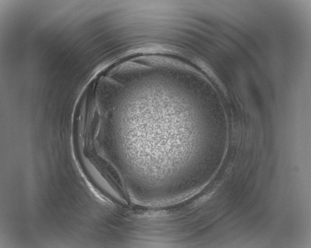 X0000054460845200508121935