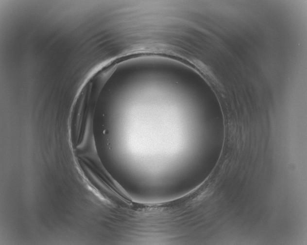 X0000054460846200508121935