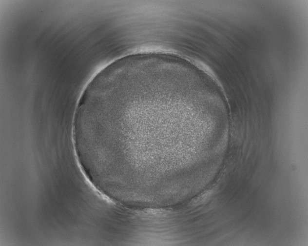 X0000054460847200508121935