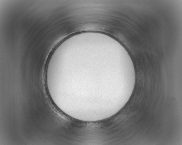 X0000054460848200508121935