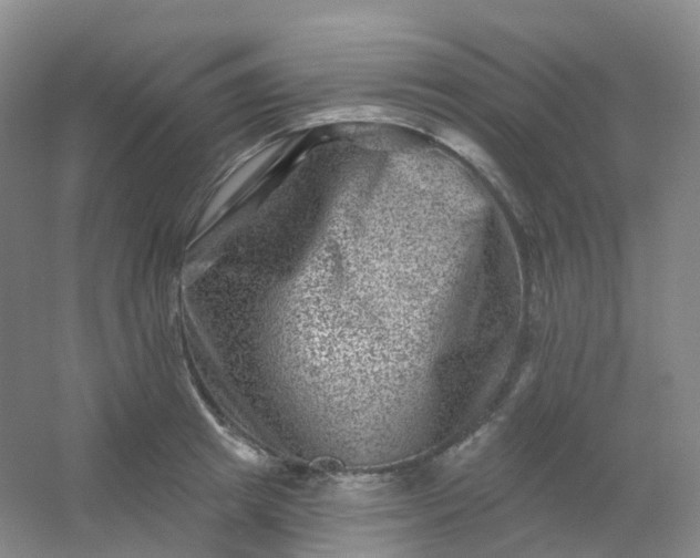 X0000054460849200508121935