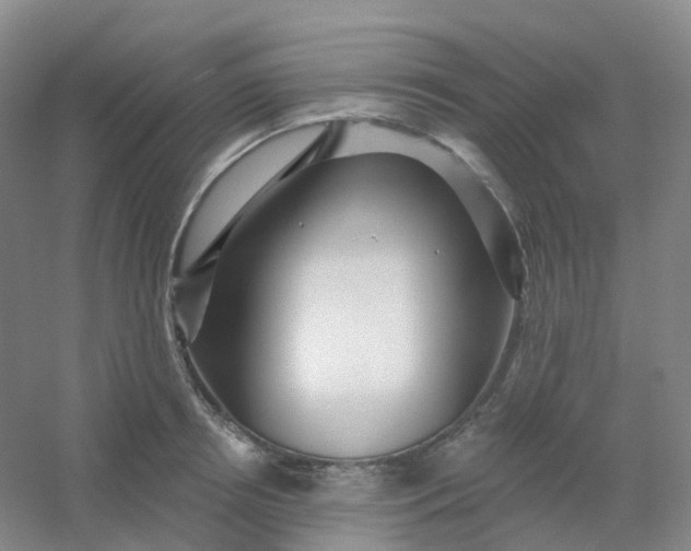 X0000054460850200508121935