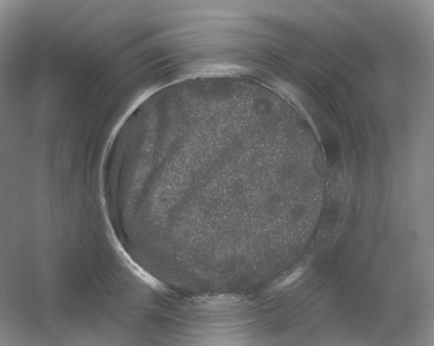 X0000054460851200508121935