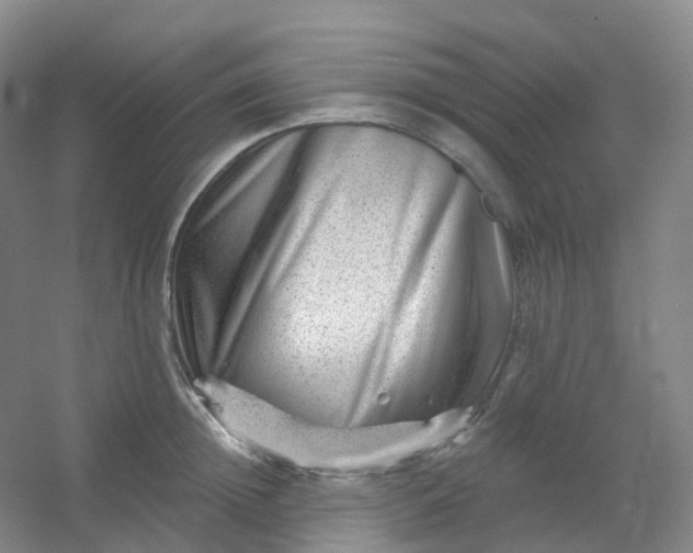 X0000054460852200508121935