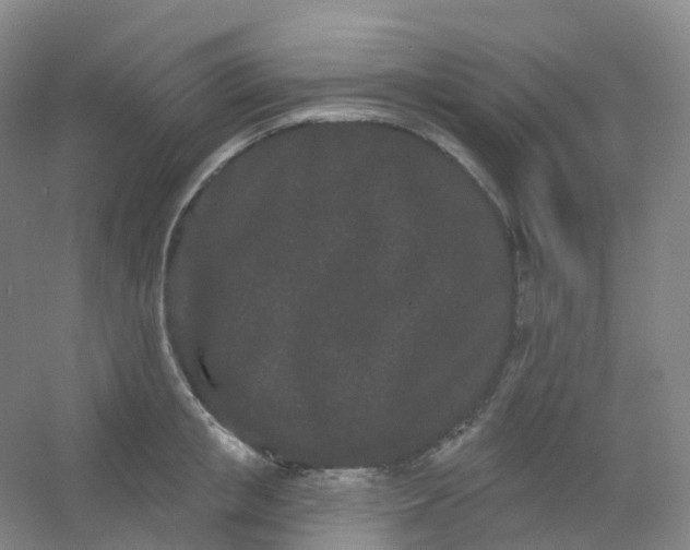 X0000054460853200508121935