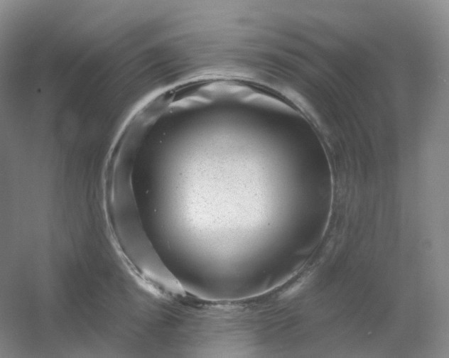 X0000054460854200508121935