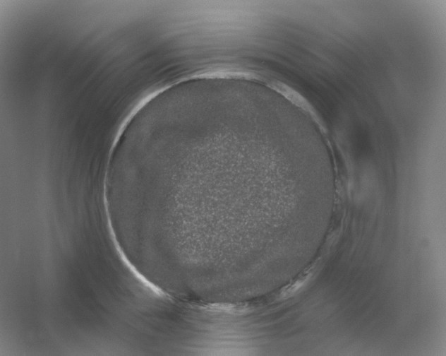 X0000054460855200508121935