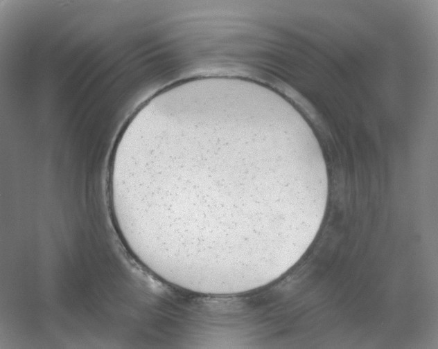 X0000054460856200508121935