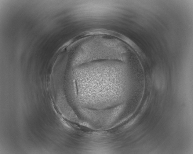 X0000054460857200508121935