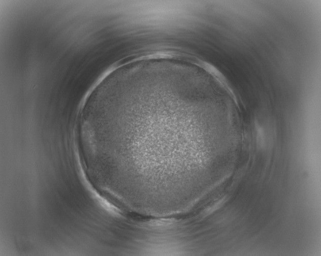 X0000054460859200508121935