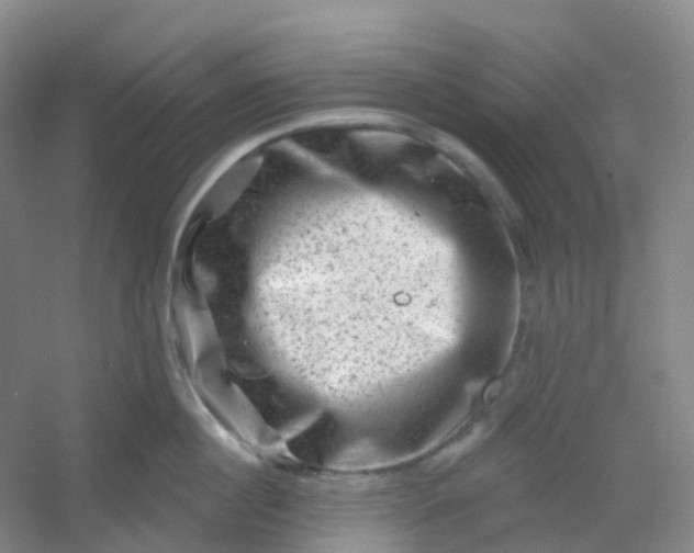 X0000054460860200508121935