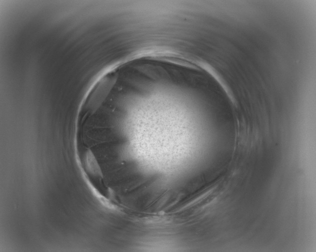 X0000054460861200508121935