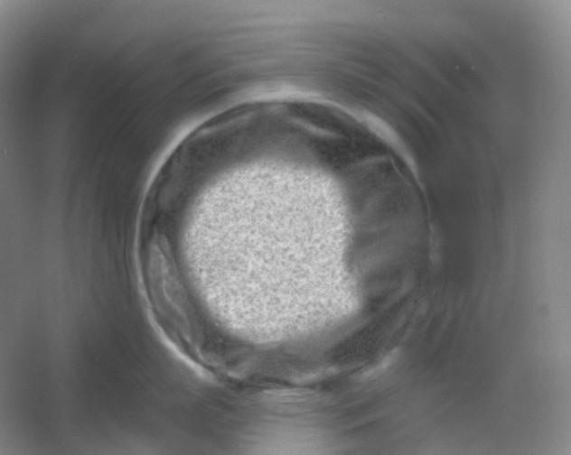 X0000054460863200508121935