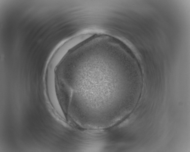 X0000054460864200508121935