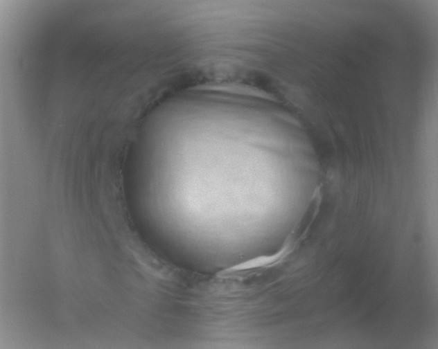 X0000054460865200508121935