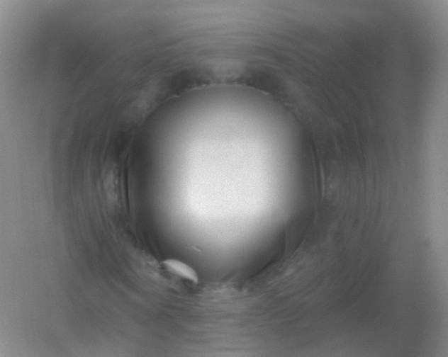 X0000054460866200508121935