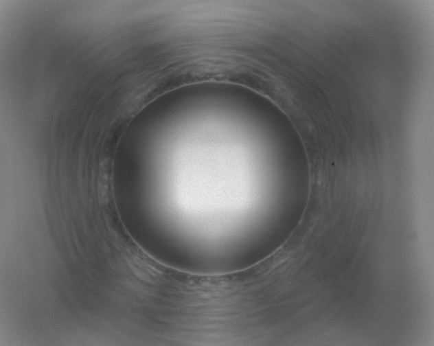 X0000054460868200508121935