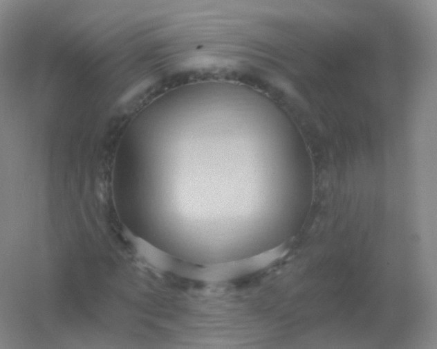 X0000054460869200508121934