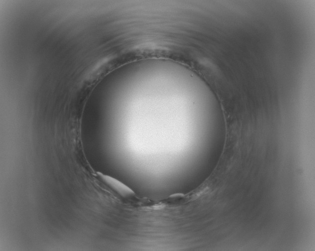 X0000054460870200508121934