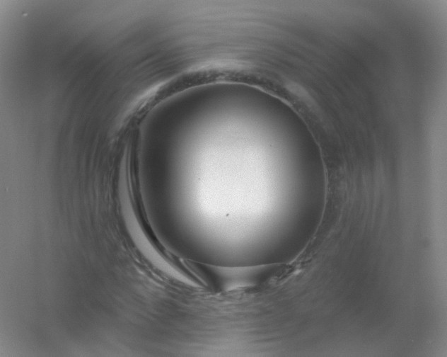 X0000054460872200508121934