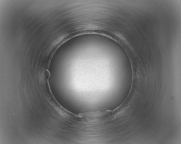 X0000054460873200508121934