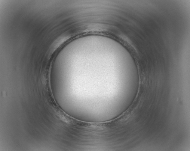 X0000054460874200508121934