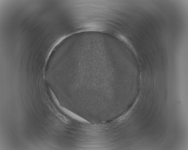 X0000054460875200508121934