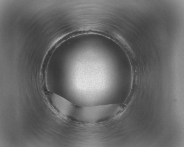 X0000054460876200508121934