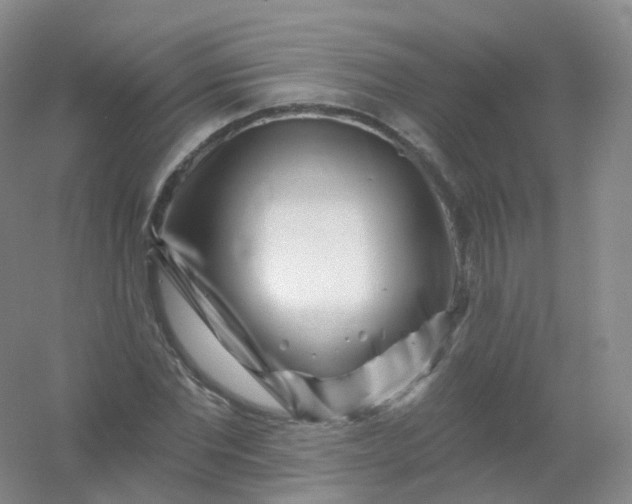 X0000054460877200508121934