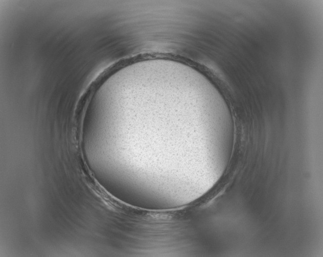 X0000054460878200508121934