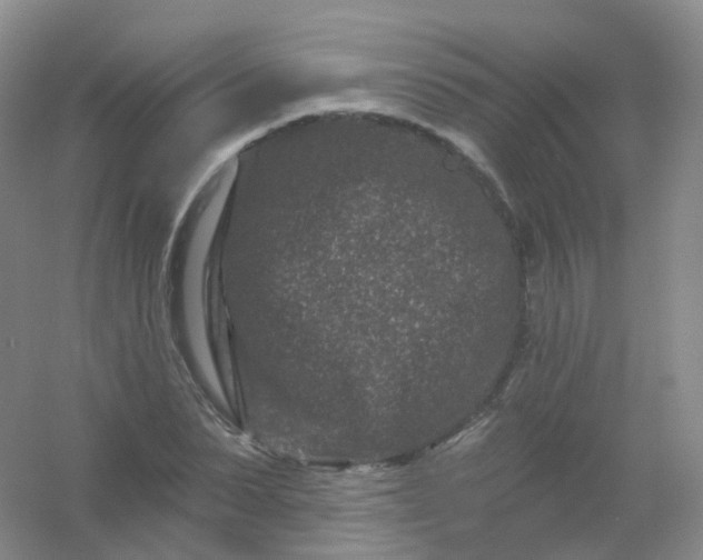 X0000054460879200508121934