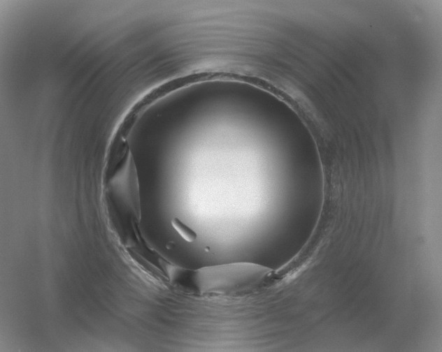 X0000054460880200508121934