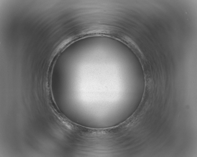 X0000054460882200508121934