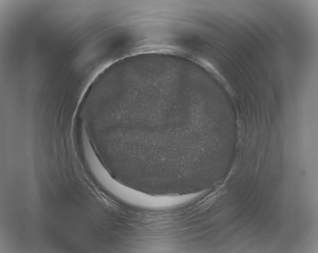 X0000054460883200508121934