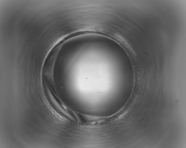 X0000054460884200508121934