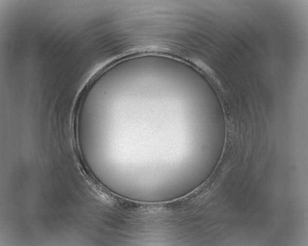 X0000054460886200508121934