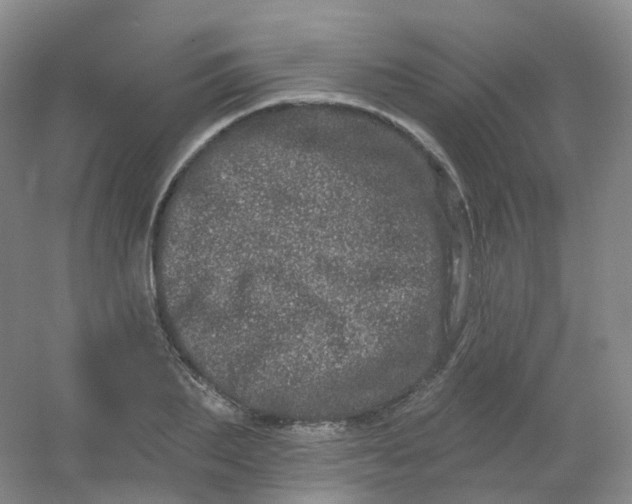 X0000054460887200508121934