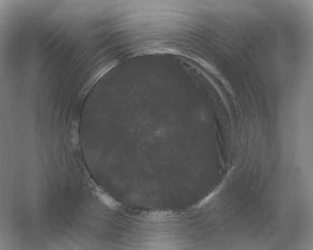 X0000054460889200508121934