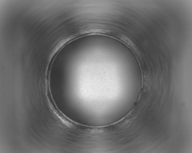 X0000054460890200508121934