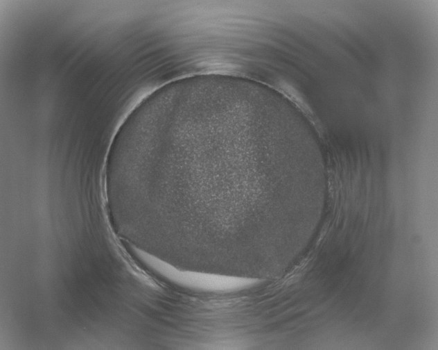 X0000054460891200508121934