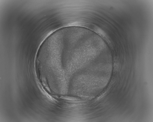 X0000054460892200508121934