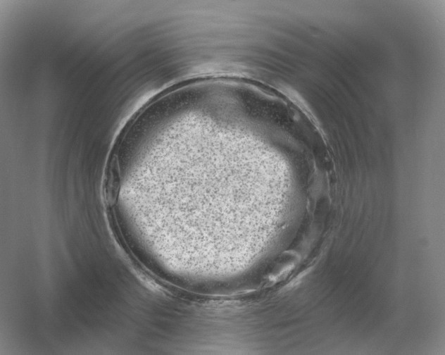 X0000054460893200508121934