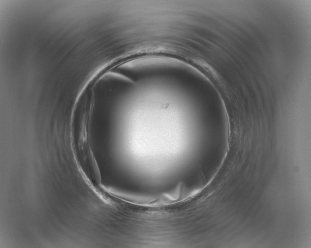 X0000054460894200508121934