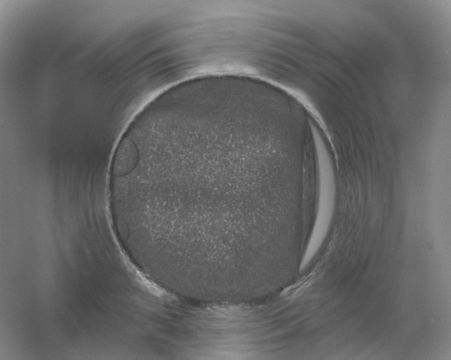 X0000054460895200508121934