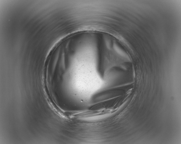 X0000054460896200508121934