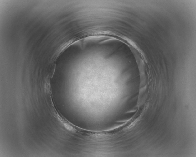 X0000054460897200508121934